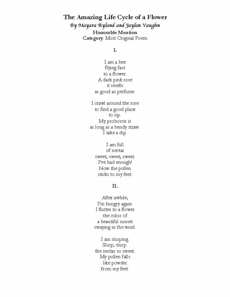 Mayara_Jaylan_AmazingLifeCycle_Page_1
