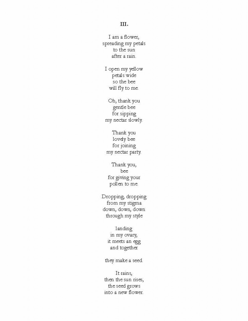 Mayara_Jaylan_AmazingLifeCycle_Page_2